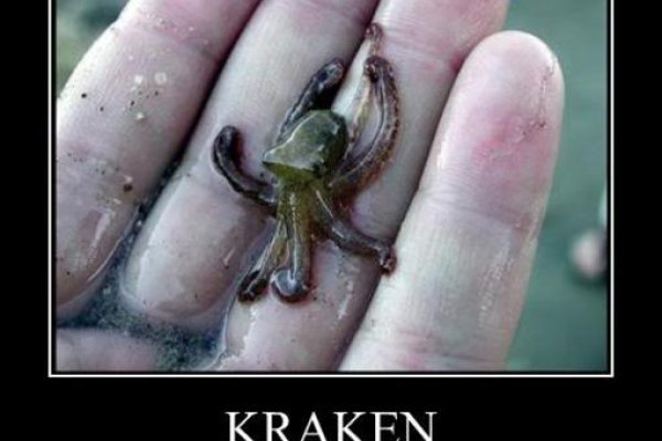 Kraken 13at зеркало